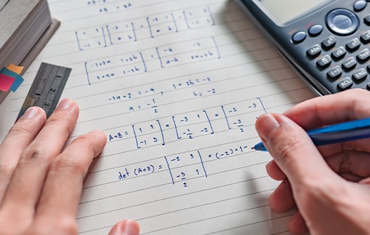 Linear Algebra Problem Solving Develop a Strategist’s Mindset