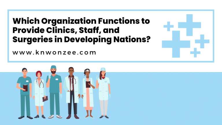 Which Organization Functions to Provide Clinics, Staff, and Surgeries in Developing Nations